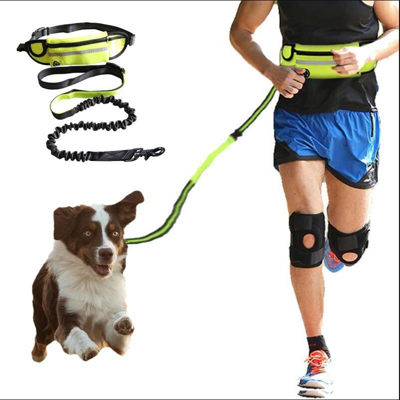 Lilium Star - Hands-Free Dog Leash with Shock Absorbing Bungee, Phone Pocket, and Water Bottle Holder for Large Dogs (Up to 180 lbs)